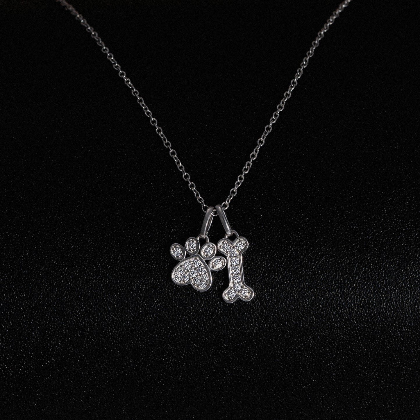 Paw & Bone Necklace