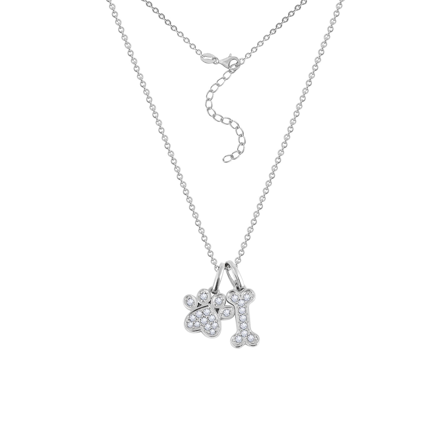 Paw & Bone Necklace